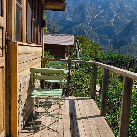 Olive Garden Kabak Hotel Faralya Eksteriør billede