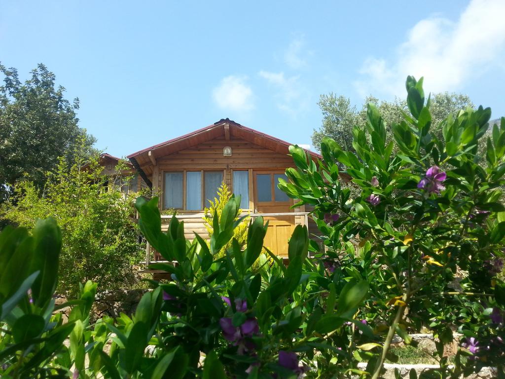 Olive Garden Kabak Hotel Faralya Eksteriør billede