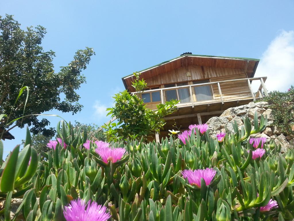 Olive Garden Kabak Hotel Faralya Eksteriør billede