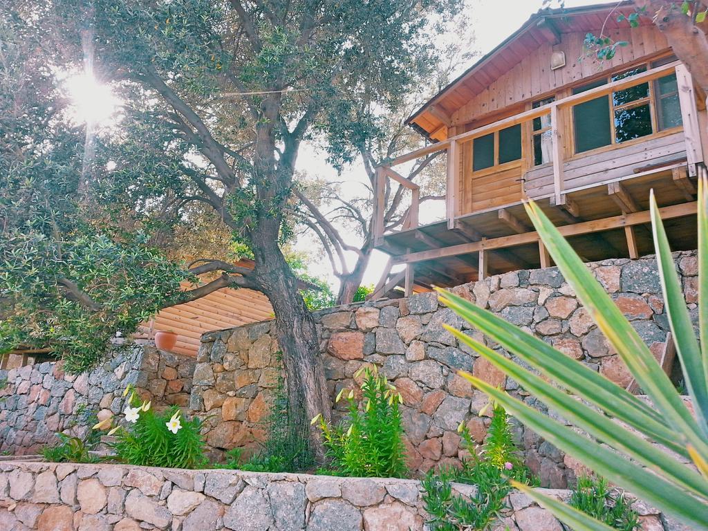 Olive Garden Kabak Hotel Faralya Eksteriør billede
