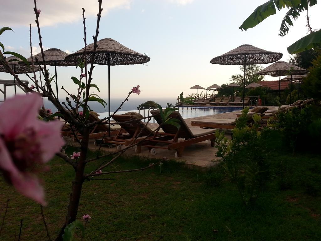 Olive Garden Kabak Hotel Faralya Eksteriør billede