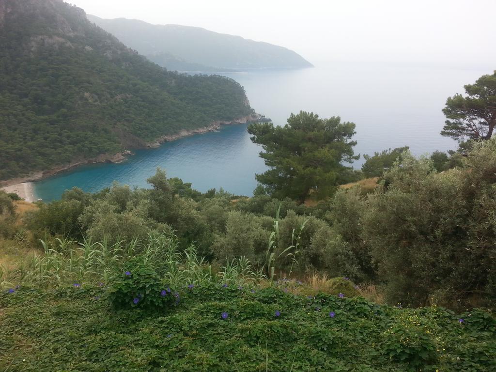 Olive Garden Kabak Hotel Faralya Eksteriør billede